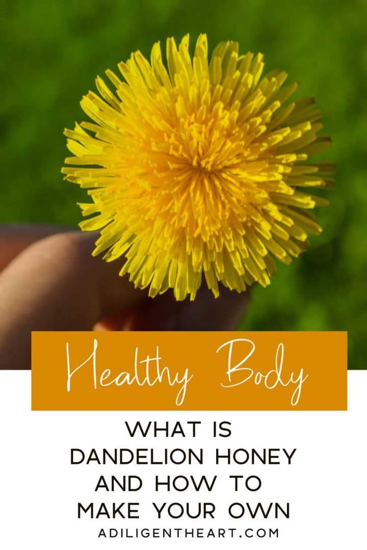What is dandelion honey and how to make your own.