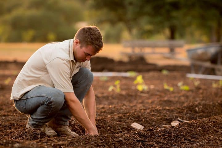 When to start spring garden: begin in early March.