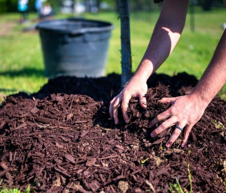 https://www.pexels.com/photo/hands-garden-agriculture-farm-11573798/