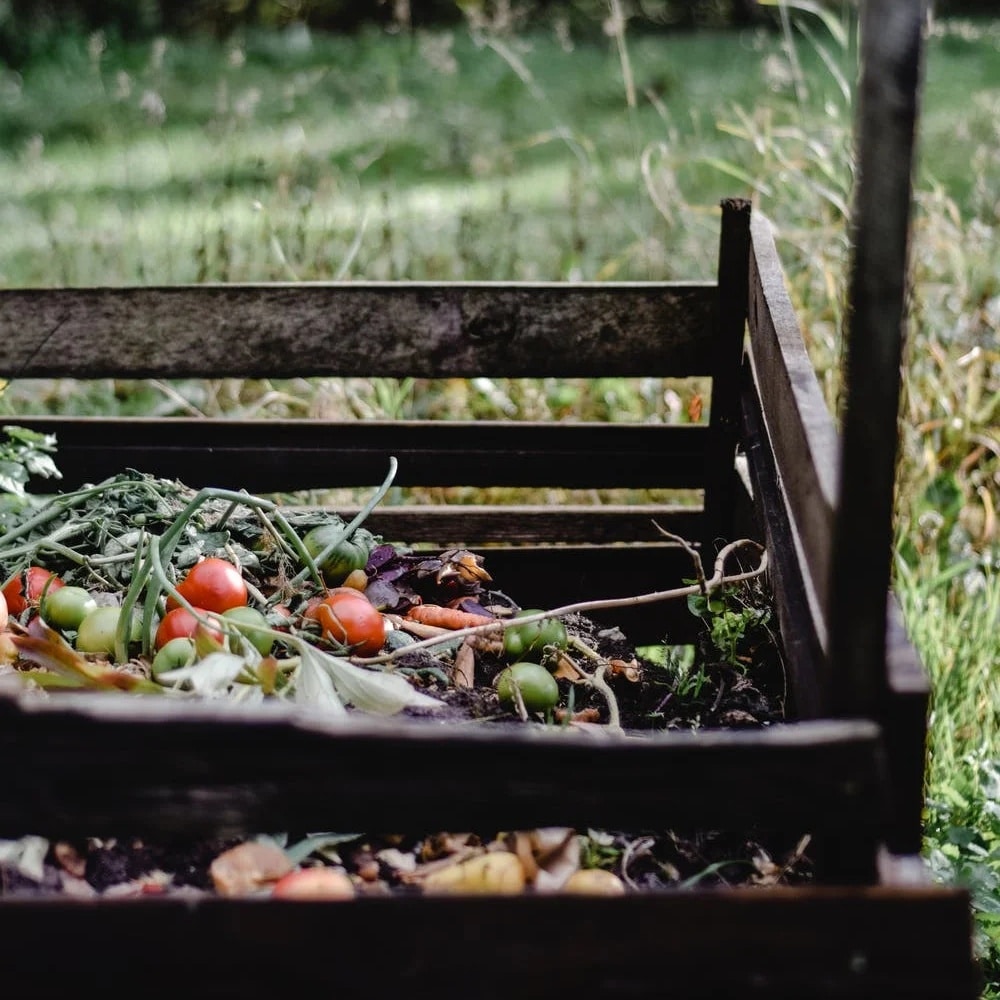 Try doing compost planting to enrich soil 