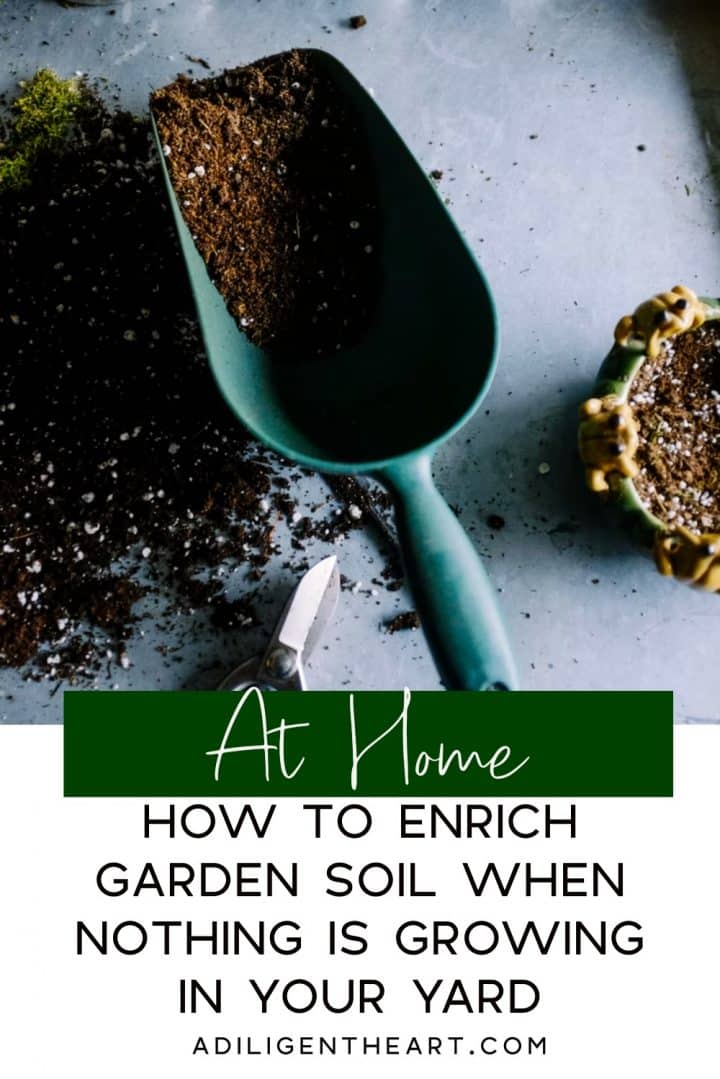 How to enrich garden soil when nothing is growing in your yard