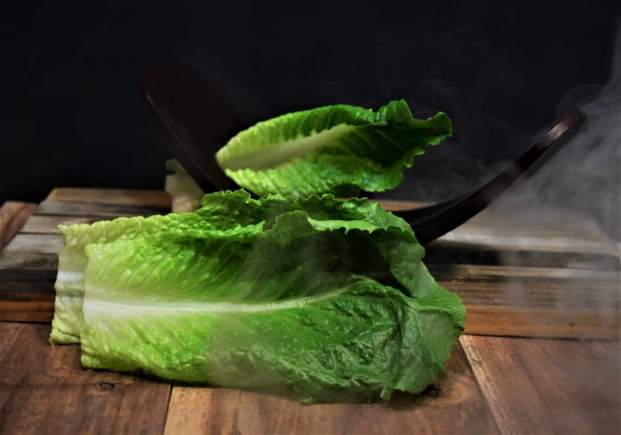 You can grow romaine lettuce indoors or outdoors