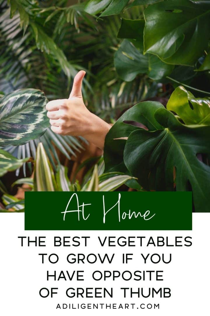 The best vegetables to grow if you have opposite of green thumb