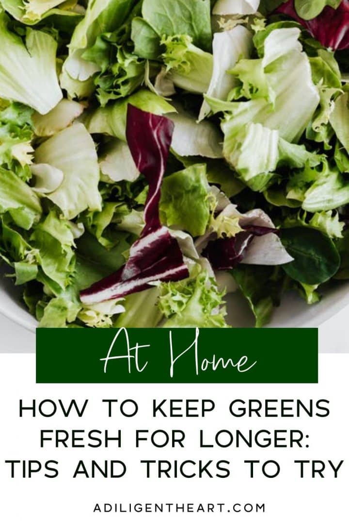 How to keep greens fresh for longer: tips and tricks to try 