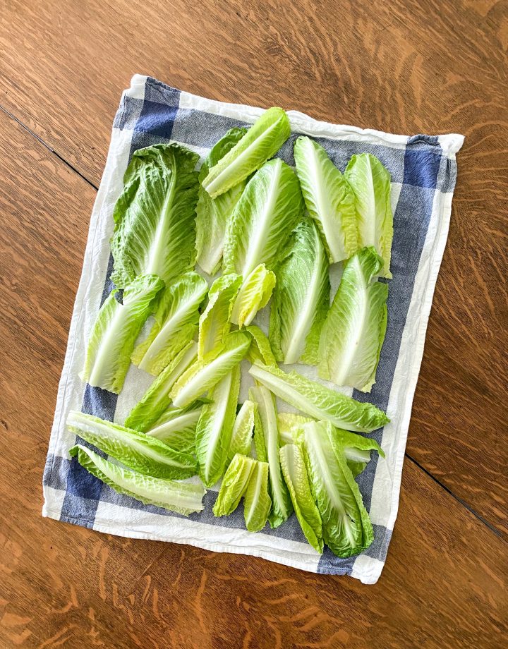 How to keep lettuce crisp: remove leaves that are wilting
