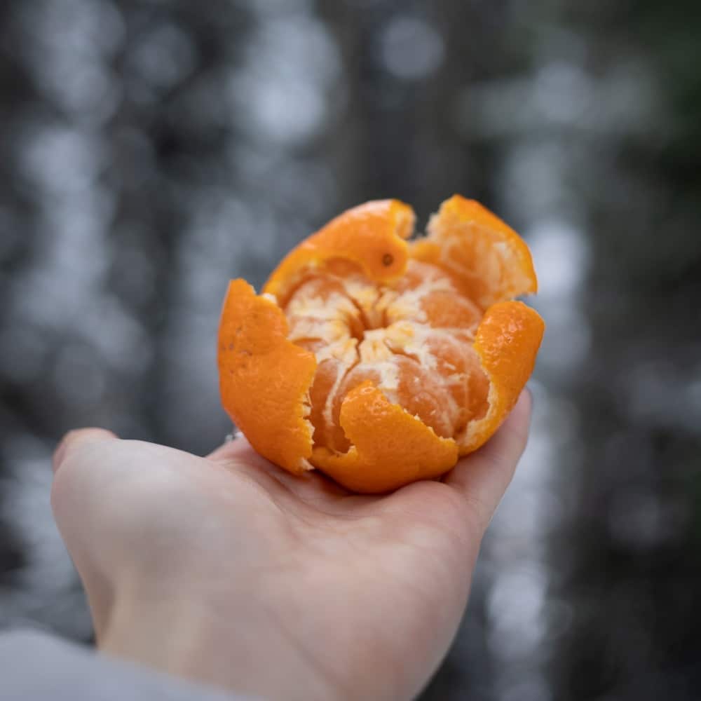 Try using food scraps like orange peels.