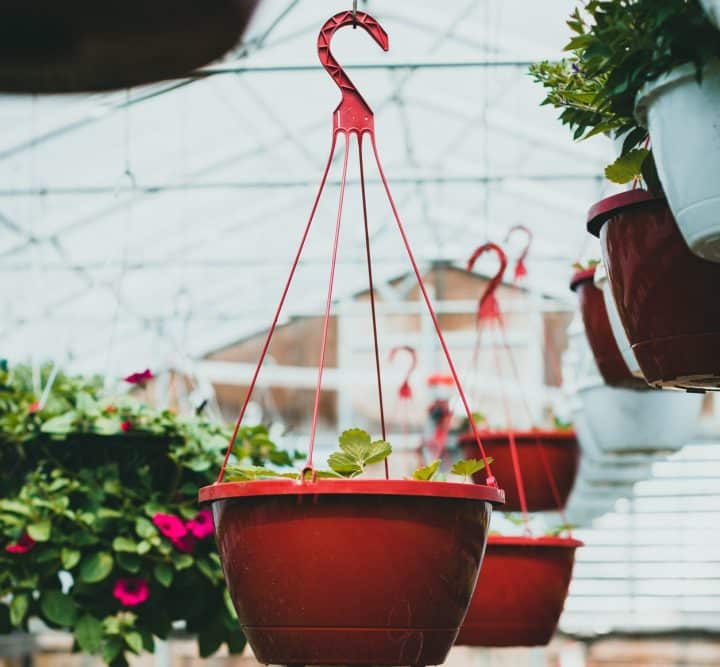 Try using hanging indoor plant baskets 