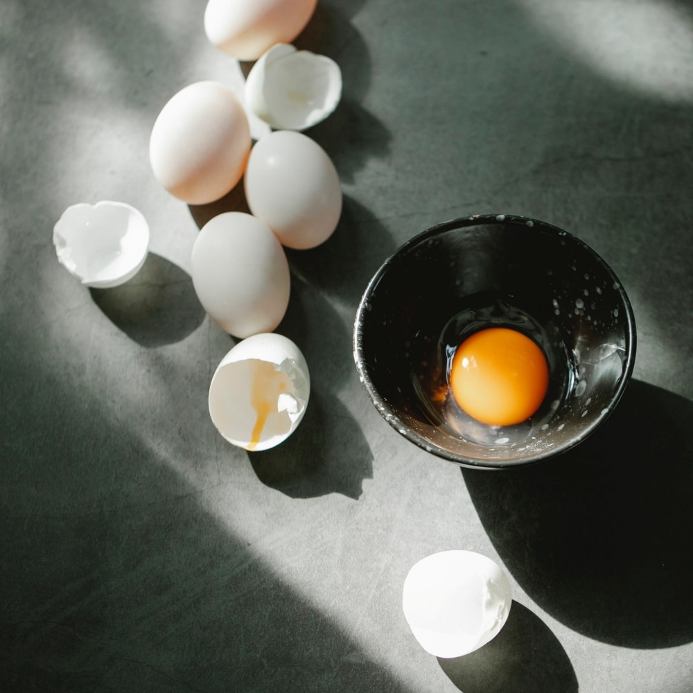 What to do with food scraps like eggshells? You can do many different things.