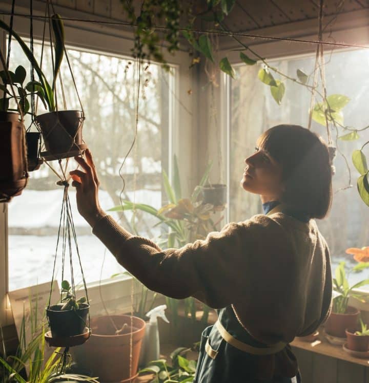Try hanging indoor plant baskets 
