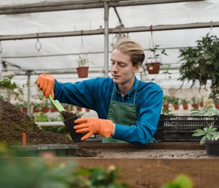 https://www.pexels.com/photo/man-putting-soil-on-the-black-pot-6508831/

Try using a hanging strawberry planter