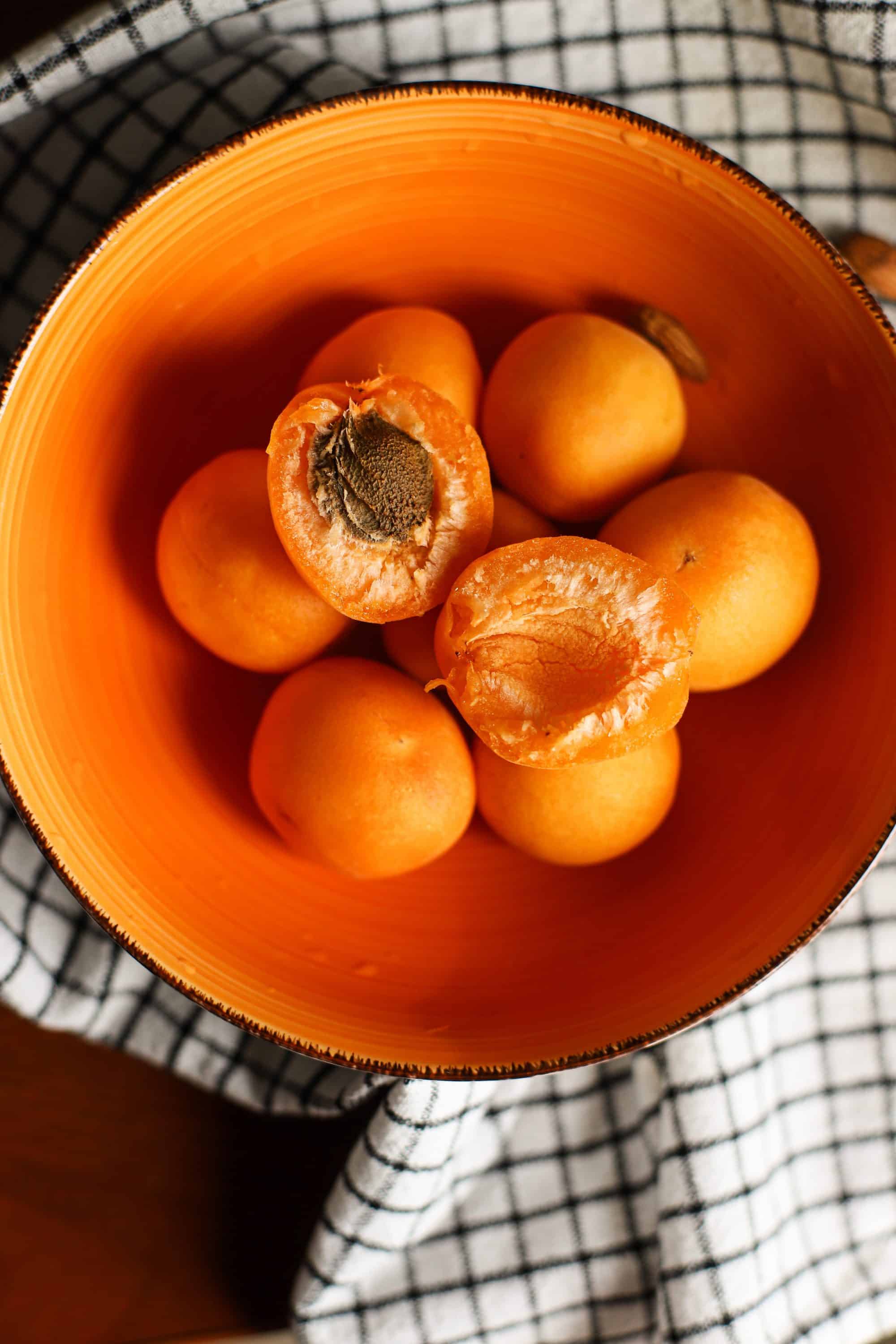 Learn how to grow an apricot from seed
