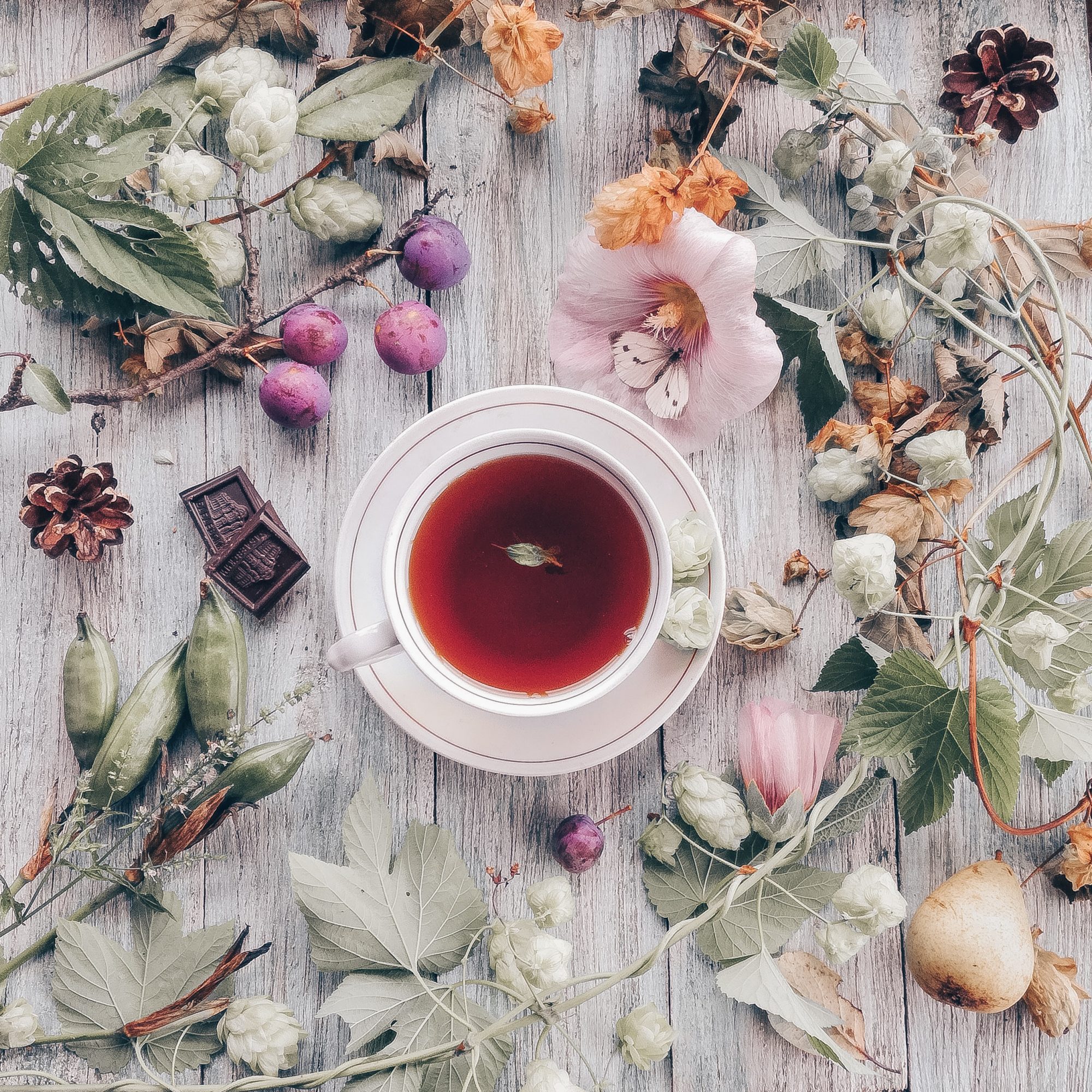 Different types of tea surrounded by flowers