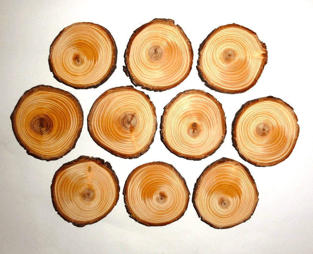 Try crafts with wood slices 