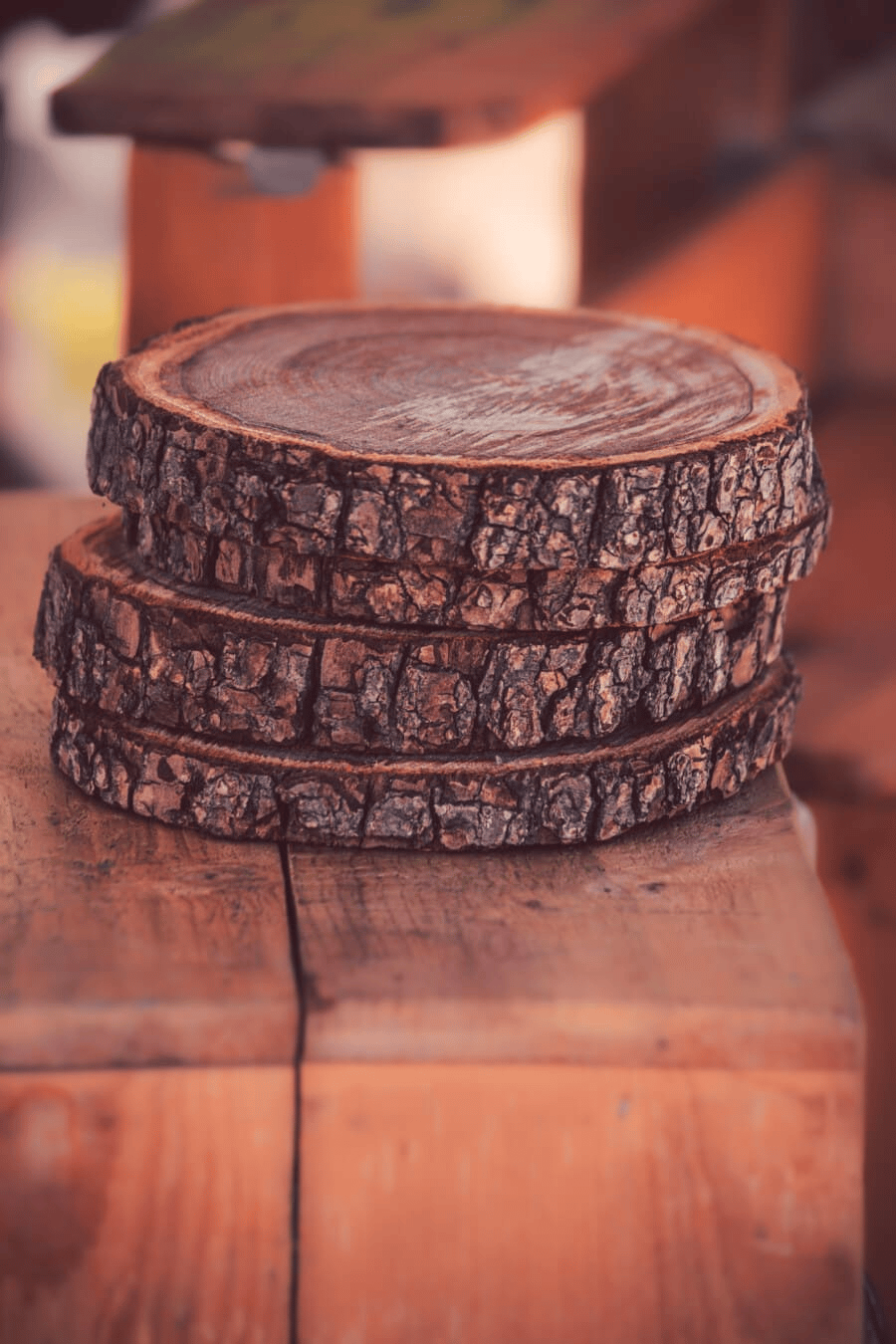 Try large wood slice crafts 