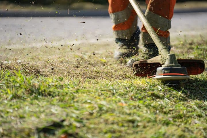 What goes in recycle bin: grass clippings