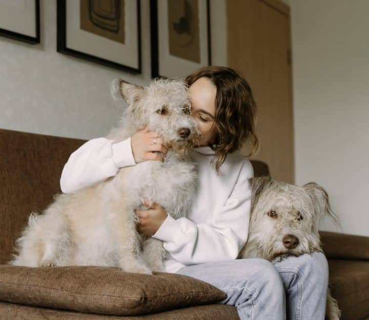 If you have dog hair everywhere, there are ways to remove it