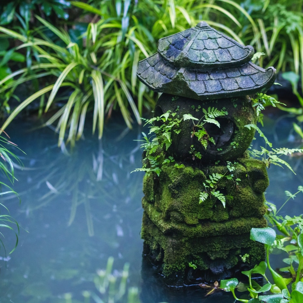 Use a cube storage bin as a DIY pond
